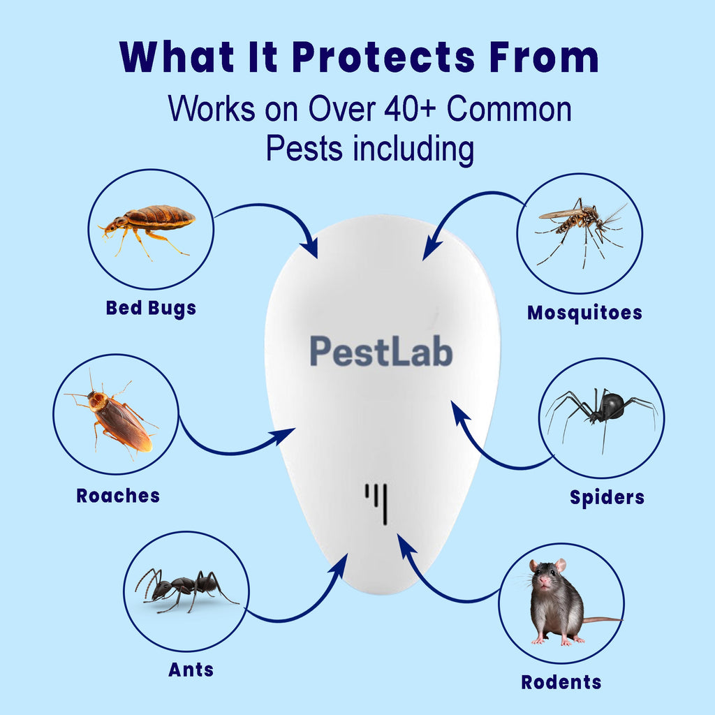 PestLab™ -  Banish Bed Bugs For Good